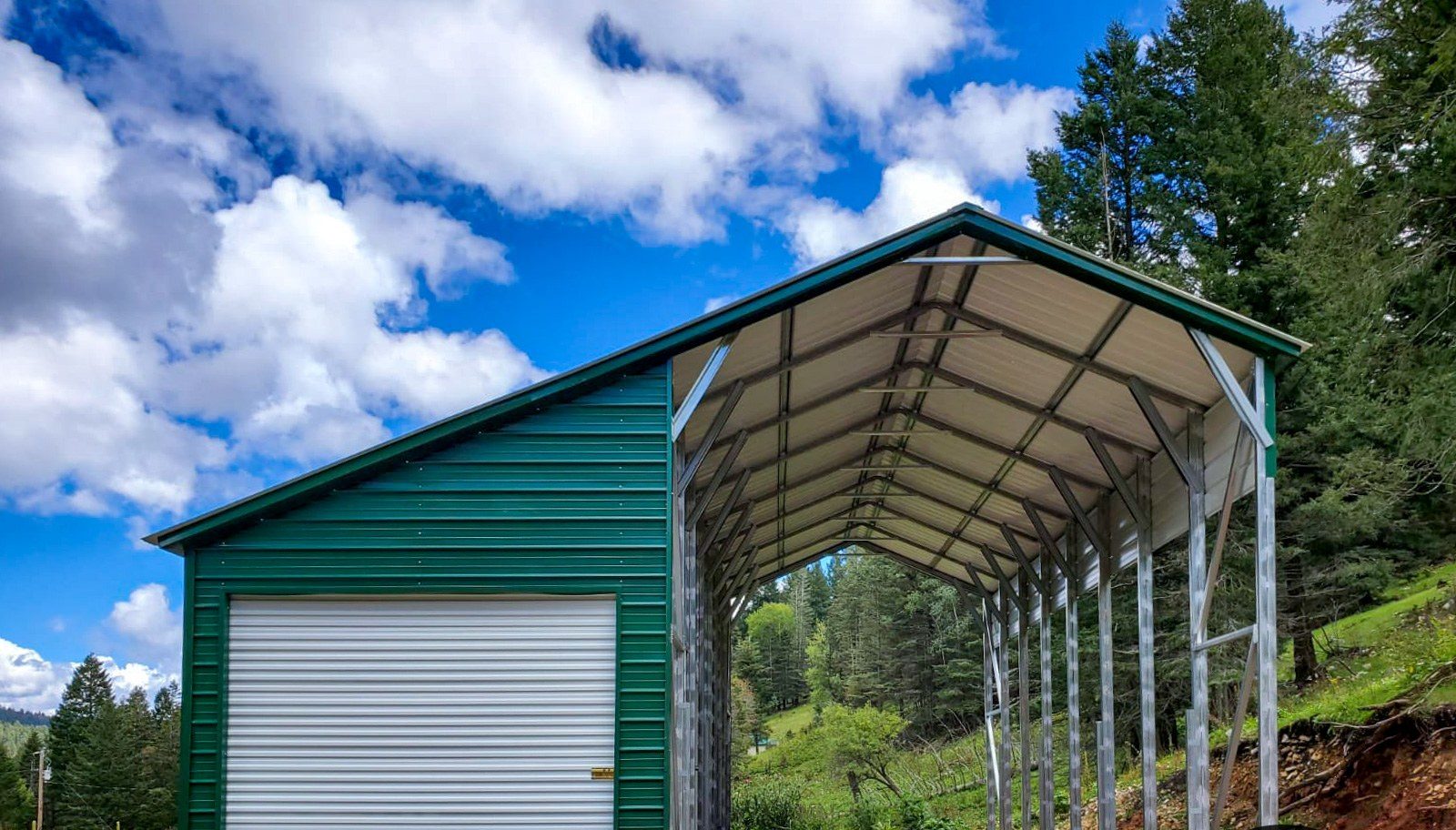 Steel carport with enclosed storage room, green roof, forest backdrop